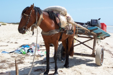 2007 05 21 Djerba 111