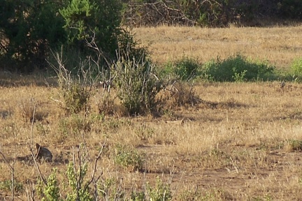 2010 01 29 Kenya 093