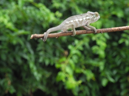 2016 02 18 Madagascar 164