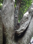 2016 02 18 Madagascar 361