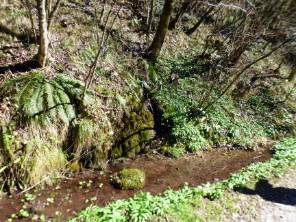 2017 03 12 ValVertova 03