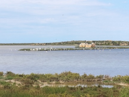 2019 05 00 Sicilia G 0448